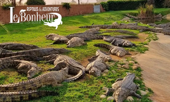 Family Combo Tour for 2 Adults & 2 Kids