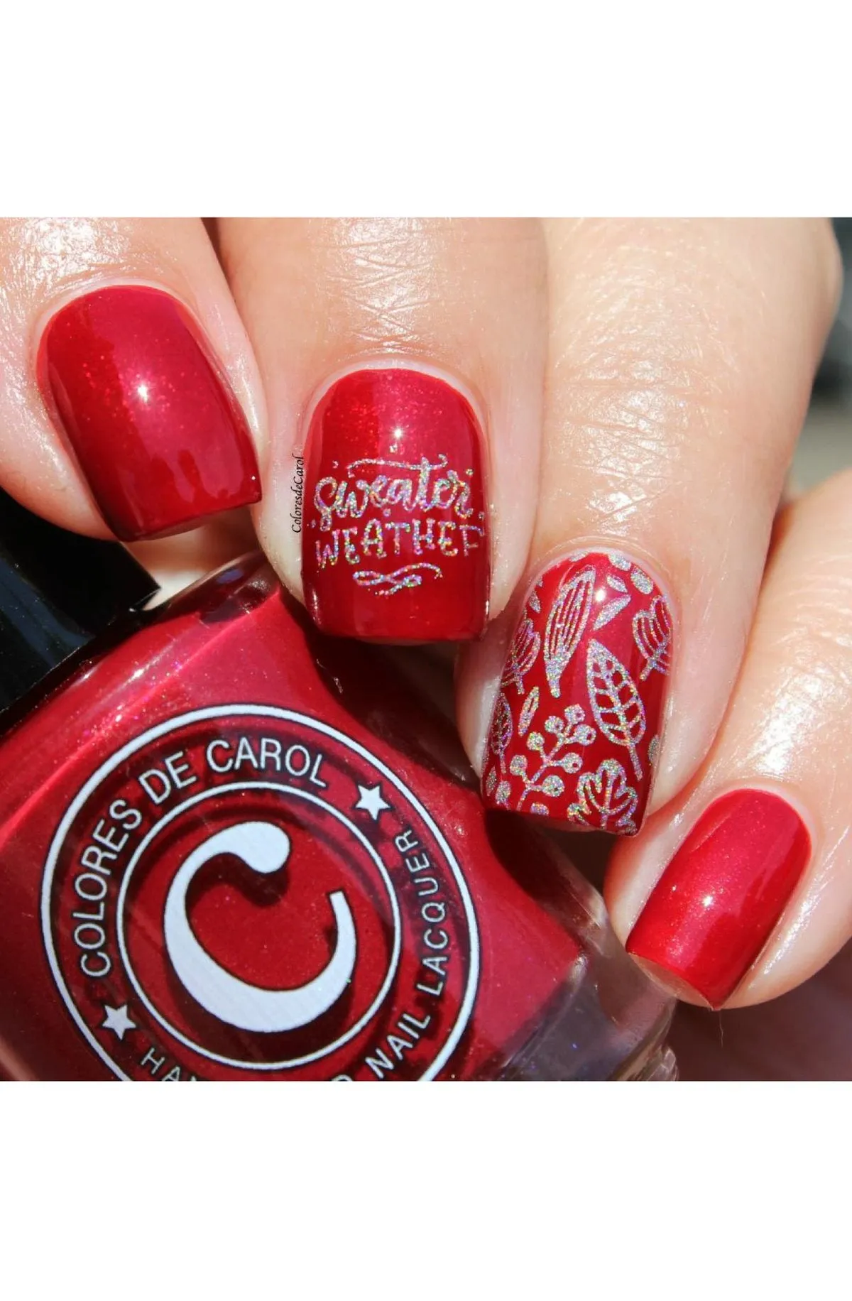 Lovely Leaves 4 - Uber Chic Stamping Plate