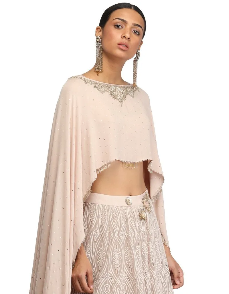 Mukaish Embroidered Cape- Oyster Grey