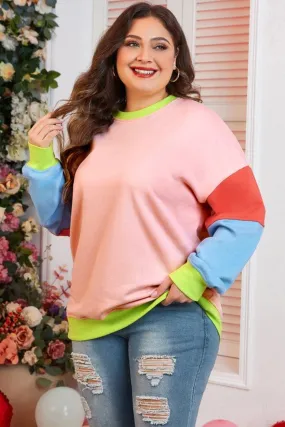 Plus Size Colorblock Sweatshirt